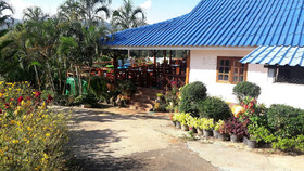 Khaokho Freeday Resort