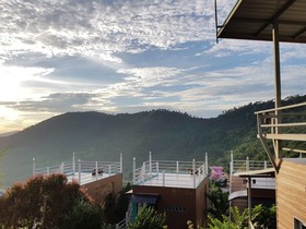 Khao Kho Tree Top