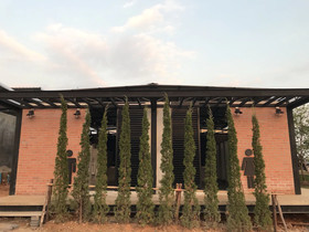 Kondee Cino Glamping