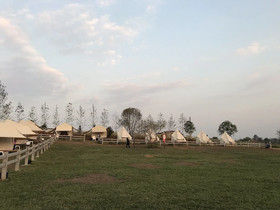 Kondee Cino Glamping