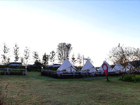 Kondee Cino Glamping