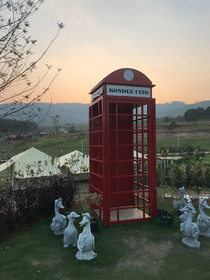 Kondee Cino Glamping