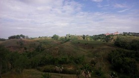 Lovely Farm