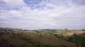 Lovely Farm