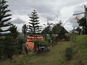 My Dream Resort