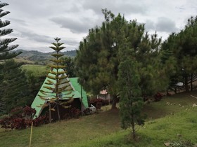 My Dream Resort