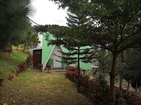 My Dream Resort