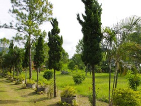 Phucome Resort
