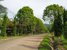 Phucome Resort
