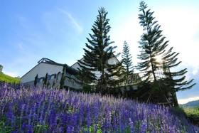 The Blue Sky Resort Khao Kho