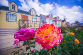 Vin View Rose Garden Resort