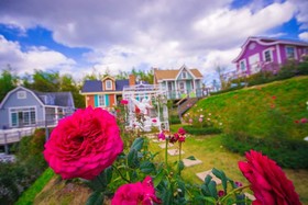Vin View Rose Garden Resort