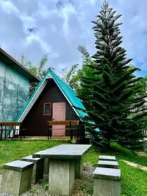 Yellowstone Cheewa View