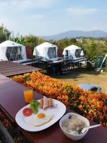 Yellowstone Cheewa View