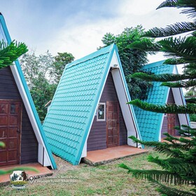 Yellowstone Cheewa View