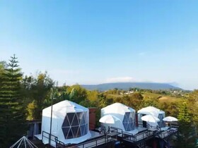 Yellowstone Cheewa View