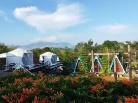 Yellowstone Cheewa View