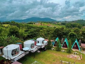 Yellowstone Cheewa View