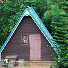 Yellowstone Cheewa View