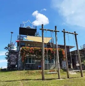 Yellowstone Cheewa View