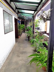 Aree Guesthouse