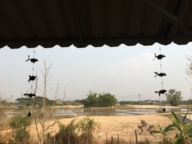 Baan Mali Homestay Lampang