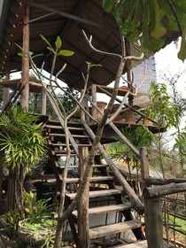Baan Mali Homestay Lampang