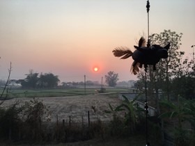 Baan Mali Homestay Lampang