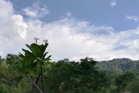 Bondoi Lampang