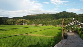 Him Doy Muang Pan