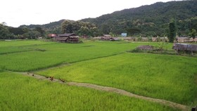Him Doy Muang Pan