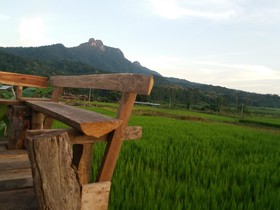Him Doy Muang Pan