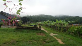 Him Doy Muang Pan