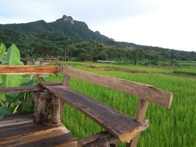 Him Doy Muang Pan