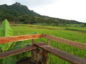 Him Doy Muang Pan