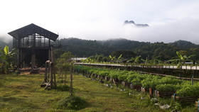 Him Doy Muang Pan