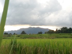 Him Doy Muang Pan