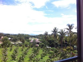 The Coconut Hotel