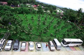 The Coconut Hotel