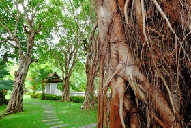 Khum Nakorn Villa