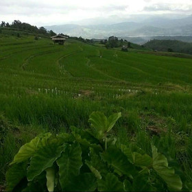 Baan Kub Doi Mae Chaem