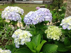 Kornwat Garden Resort