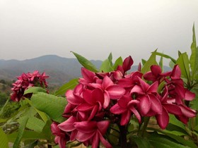Kornwat Garden Resort