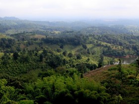 Rai Kaset Phu Praewa
