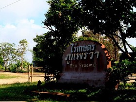 Rai Kaset Phu Praewa