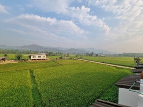 The Green Season Resort Chiang Rai