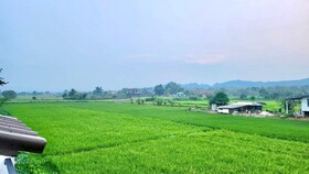 The Green Season Resort Chiang Rai