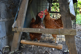 Chanmuang Guesthouse