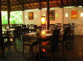 Fern Resort