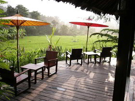 Fern Resort